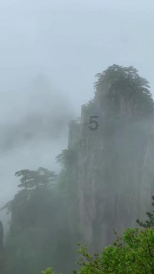 逗小猴开心系列205