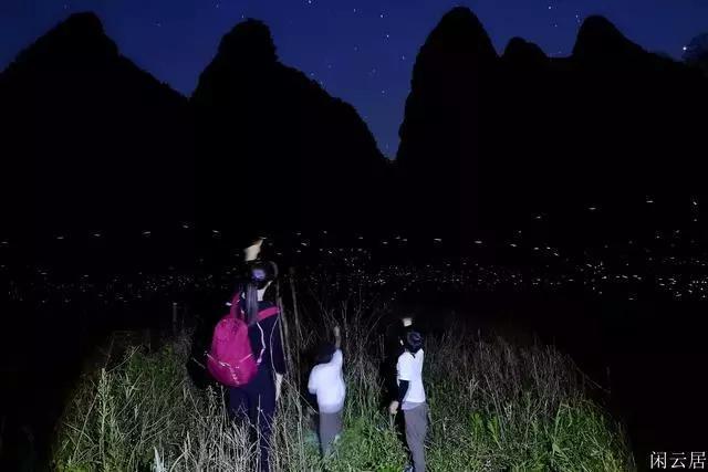以少胜多的淝水之战:真相或许比史书记载得更残酷