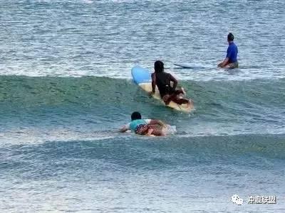 探索冷知识,尽在
