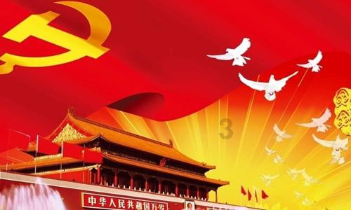 寻找萌小老虎