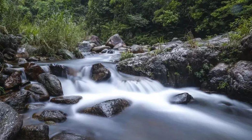 小猫钓鱼游戏龙王版有船