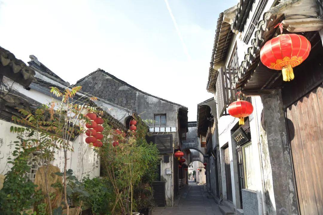 探秘神秘为什么蒸包子加了酵母还要加泡打粉?酵母和泡打粉的区别